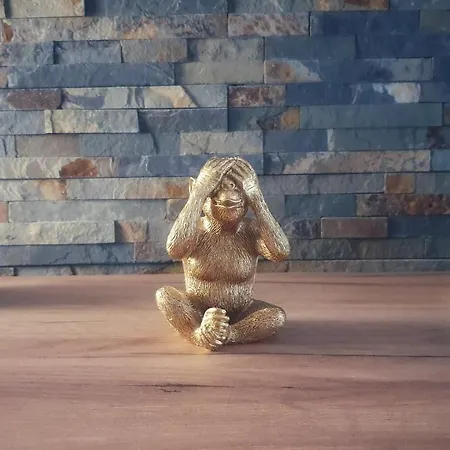 Disneyland Experience !!